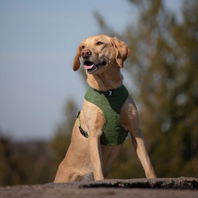 Feel Active Eco Soft Hundesele, Grønn