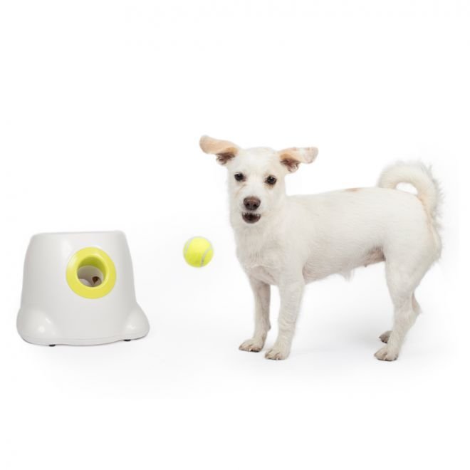 All for Paws HyperFetch ballkanon Mini for baller 5 cm
