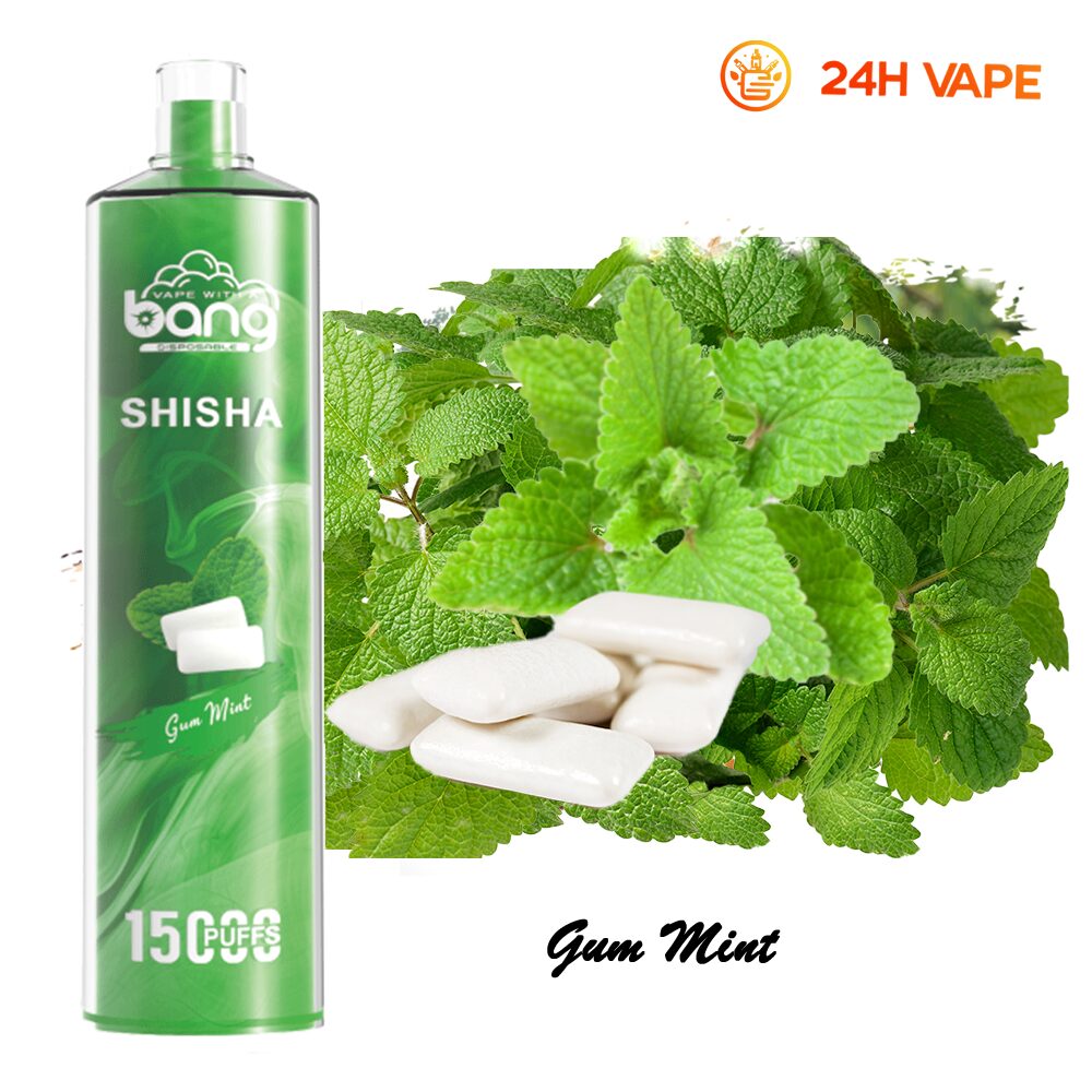 （3 pieces）Bang SHISHA 15000 Puffs Direct To Lung Disposable Electronic Cigarette New Vape Pen