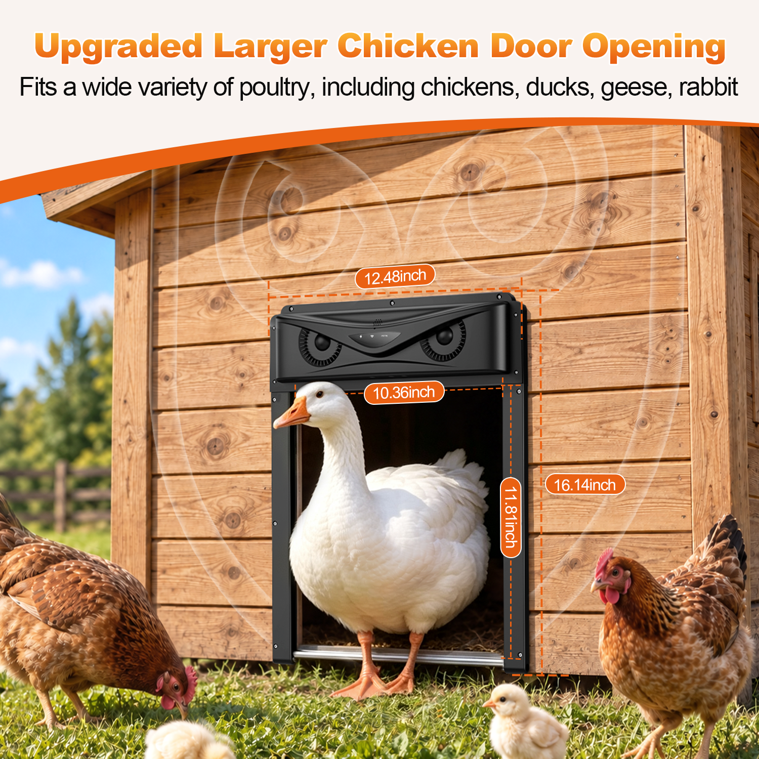 Automatic Chicken Coop Door with LCD Remote, 7W Solar Power, Timer, PIR Alarm & Anti-Pinch, Roll-Up Design