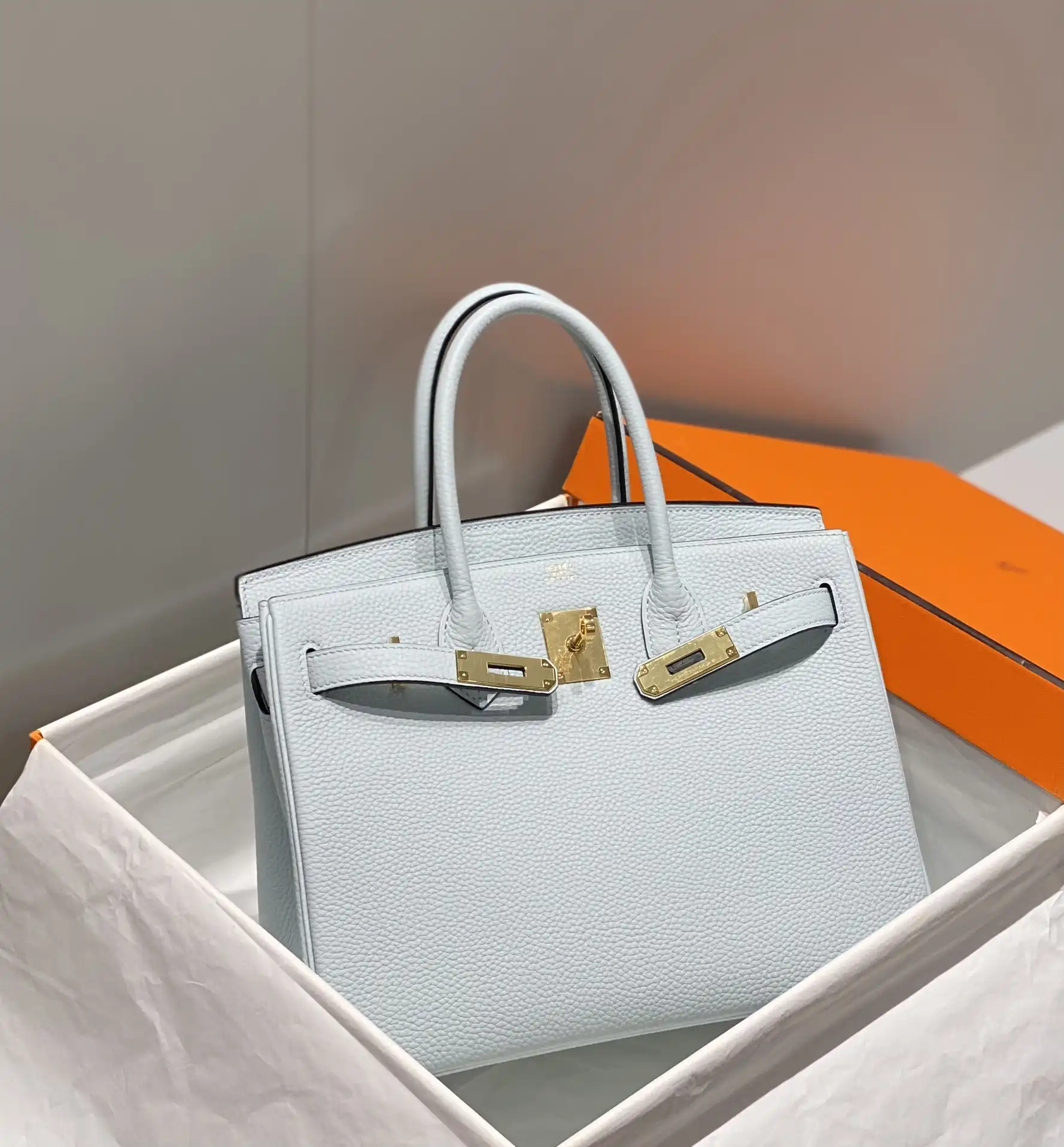 Togo Birkin 25
