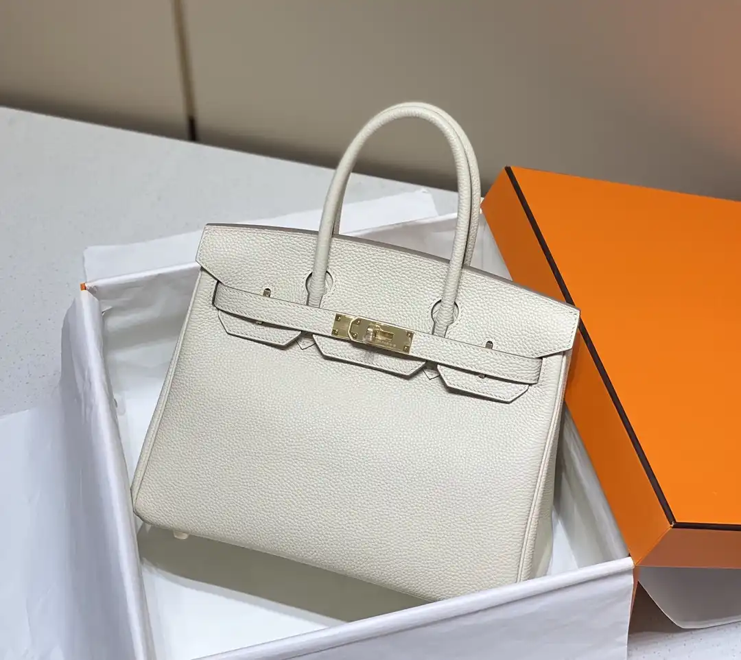 Togo Birkin 25