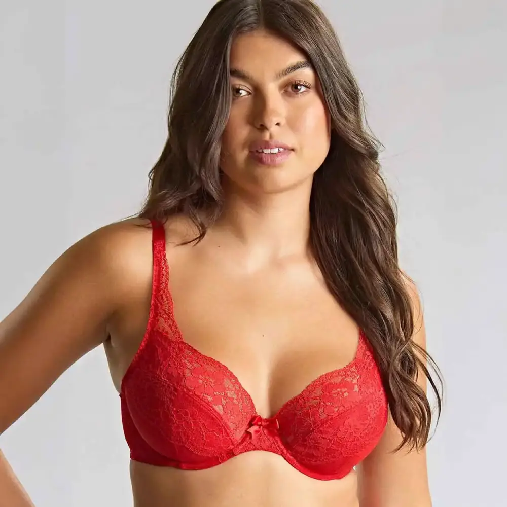 Panache Heidi Plunge Bra