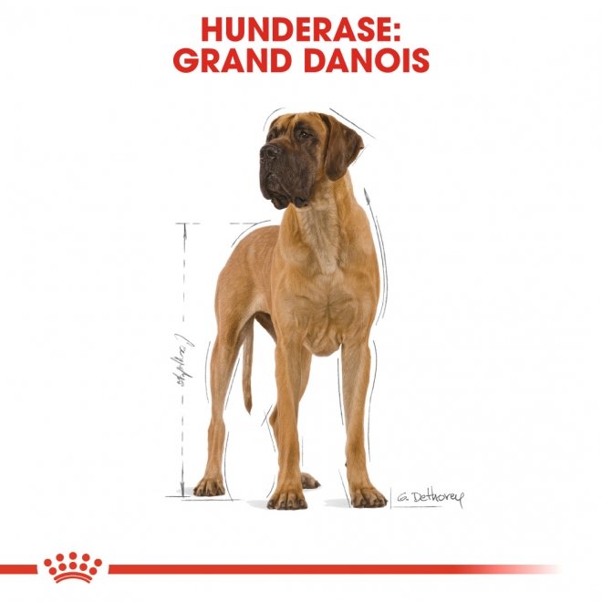 Royal Canin Great Dane Adult tørrfôr til hund
