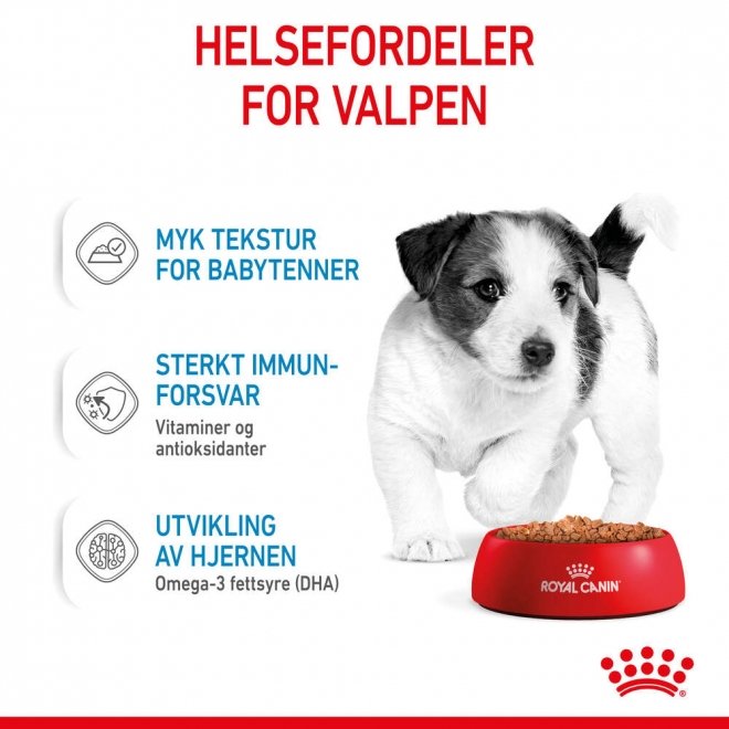 Royal Canin Mini Puppy våtfôr til valp 12x85g