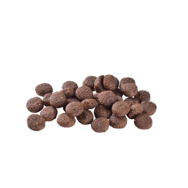 Brit Care Dog Sustainable Adult Medium Breed Chicken & Insect