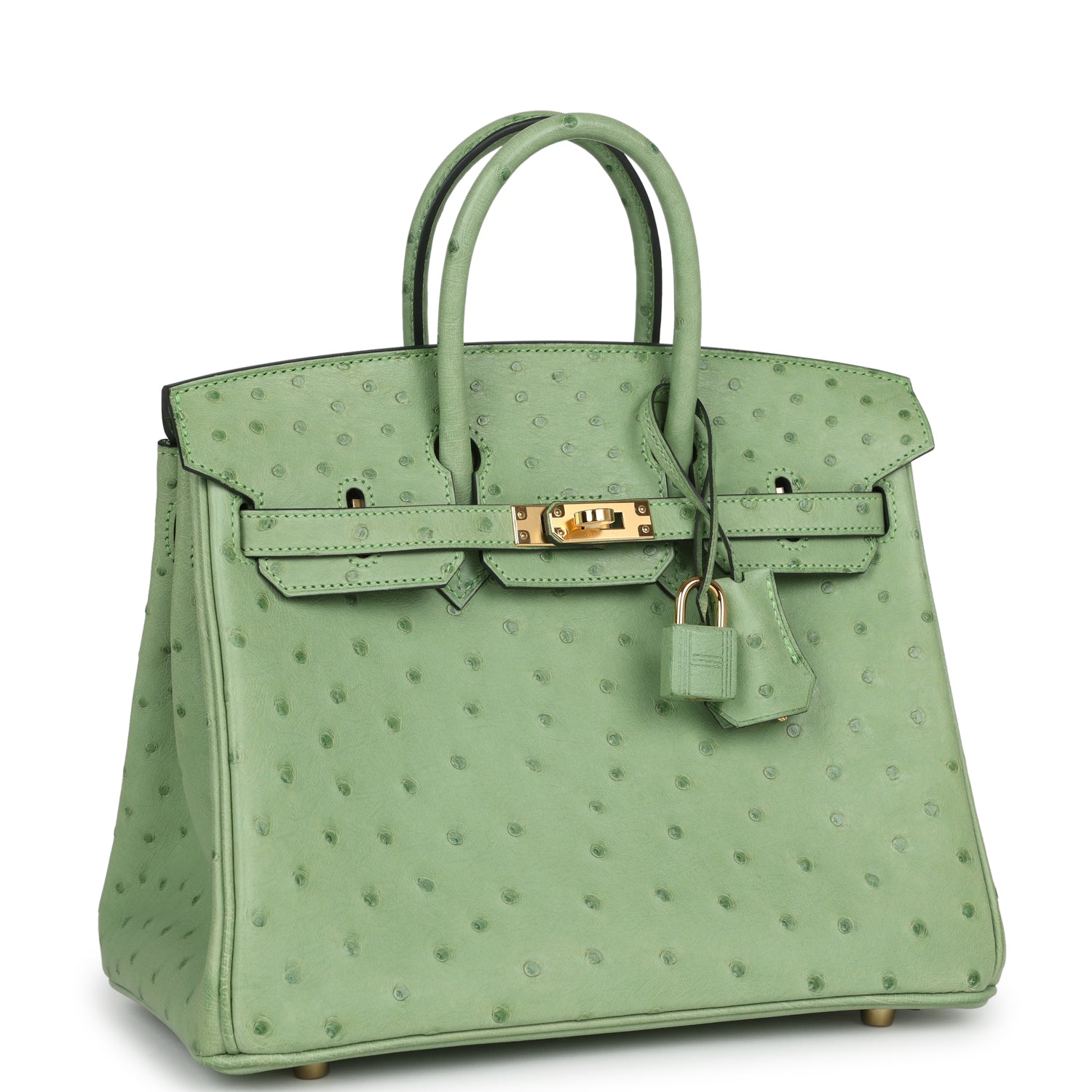 Birkin 25 Vert Criquet Ostrich Gold Hardware