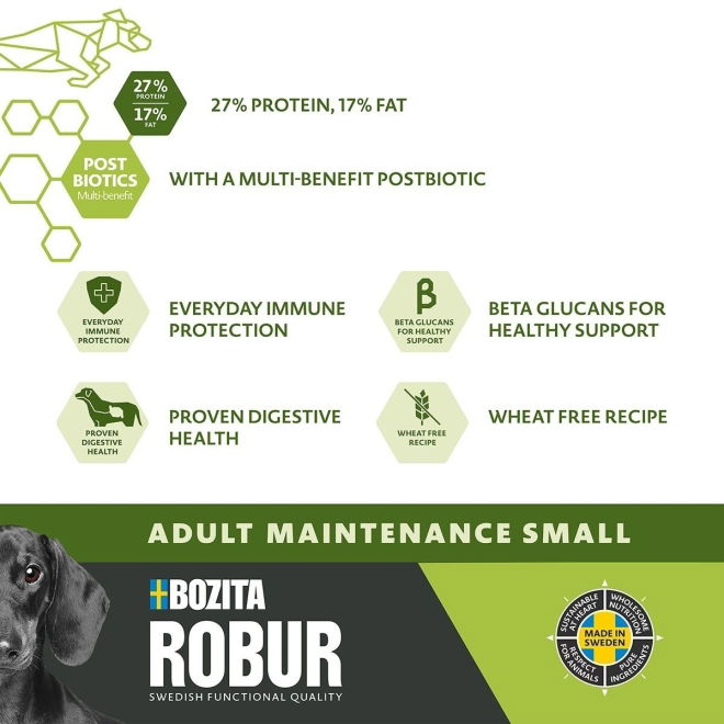Robur Adult Maintenance Mini