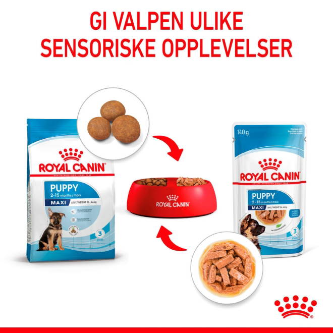 Royal Canin Maxi Puppy Gravy våtfôr til valp 10x140g