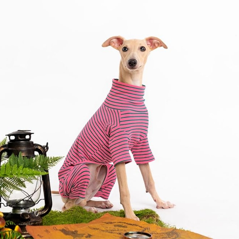 FURATTIRE Dog Sweaters for Small Dogs Girls Boys