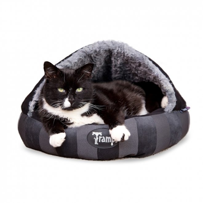 Scruffs Tramps AristoCat Dome seng