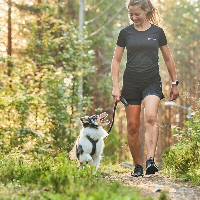 Non Stop Dogwear Line Hundesele 5.0 Grønn