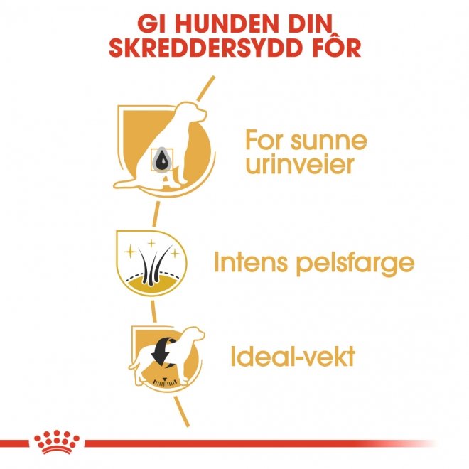 Royal Canin Miniature Schnauzer Adult tørrfôr til hund