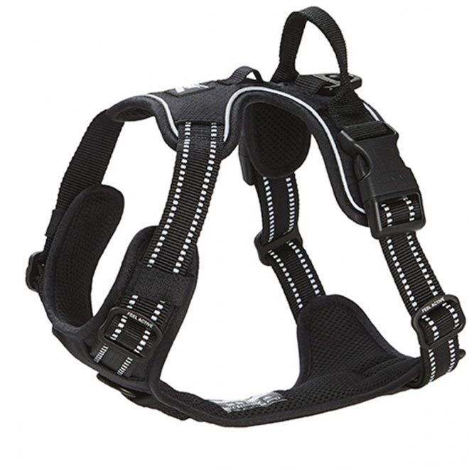 Feel Active Training harness svart
