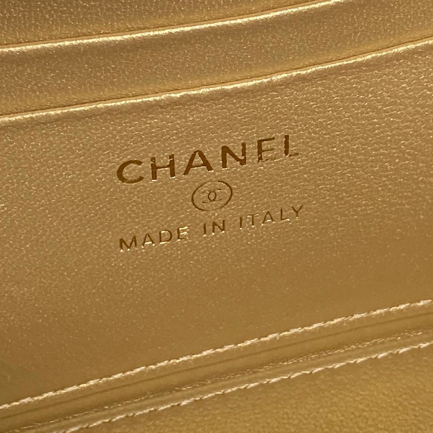 Small Vanity Case with Chain (AP3940) in Black Shiny Lambskin with Gold-Tone Hardware, 25B Fall-Winter Collection - Mocuir