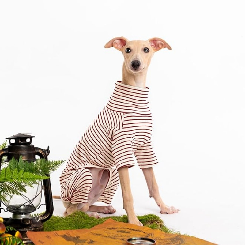 FURATTIRE Dog Sweaters for Small Dogs Girls Boys