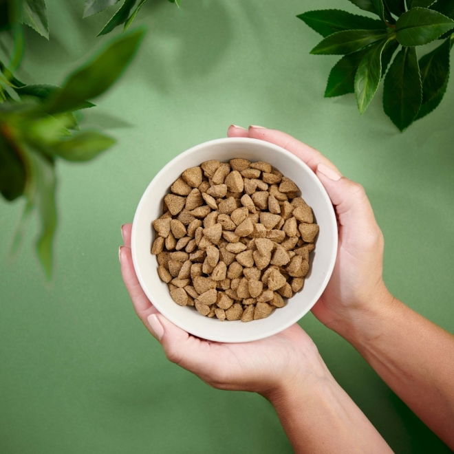 Purenatural Dog Adult Sensitive Salmon