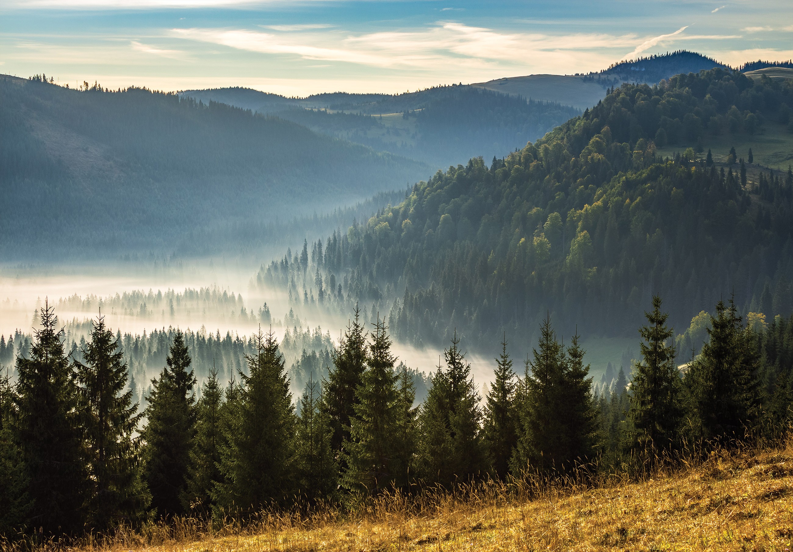 Canvas painting of mountains, landscapes, nature, and forests