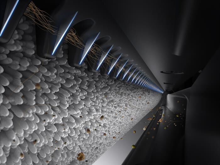 MOVA - Scopa ricaricabile X4VIMPRO-Nero / Oro