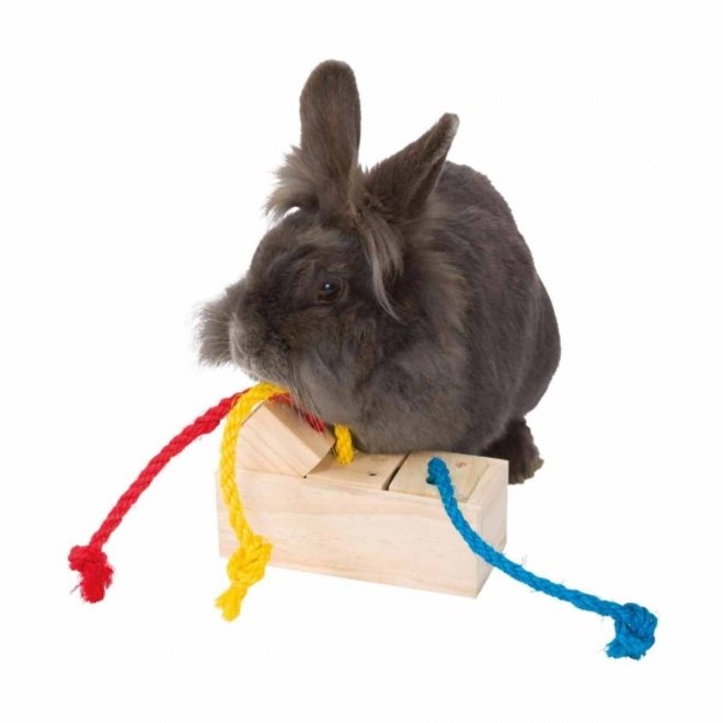 Trixie Snack Cube leker til gnager & fugl i tre 16×6×7 cm