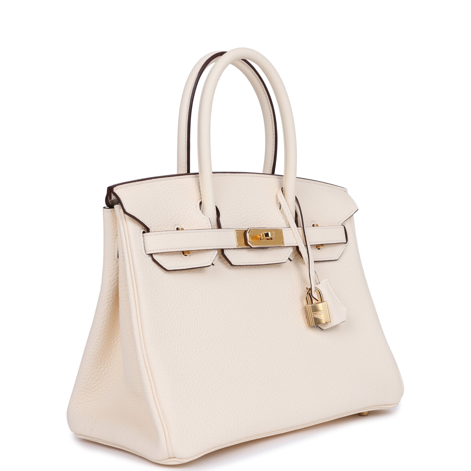 Birkin 30 Nata Clemence Gold Hardware