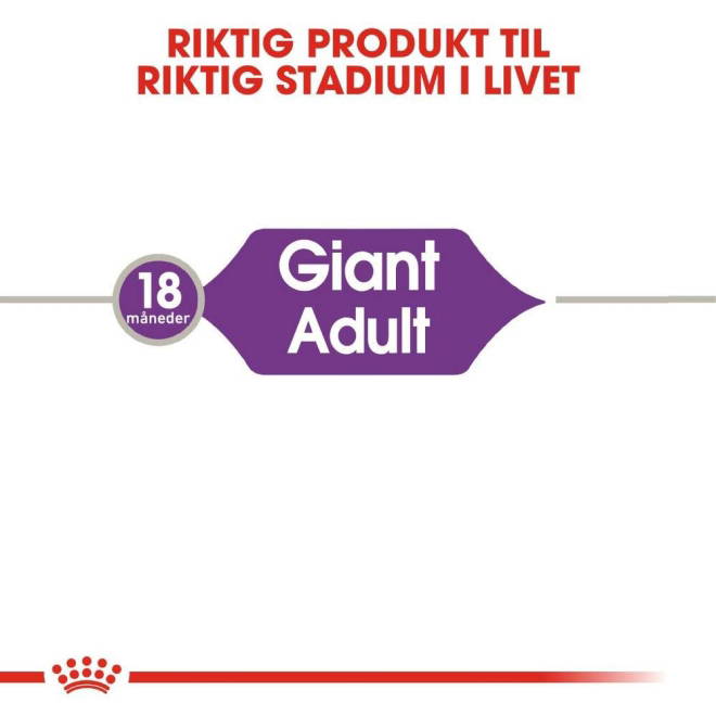 Royal Canin Giant Adult tørrfôr til hund