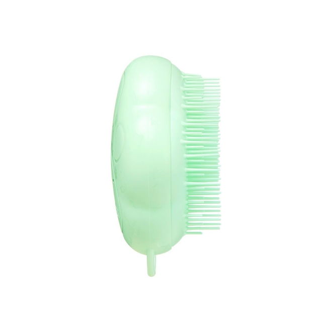 Pet Teezer Kattebørste