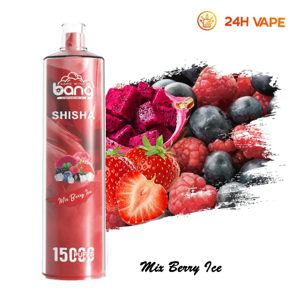 （3 pieces）Bang SHISHA 15000 Puffs Direct To Lung Disposable Electronic Cigarette New Vape Pen