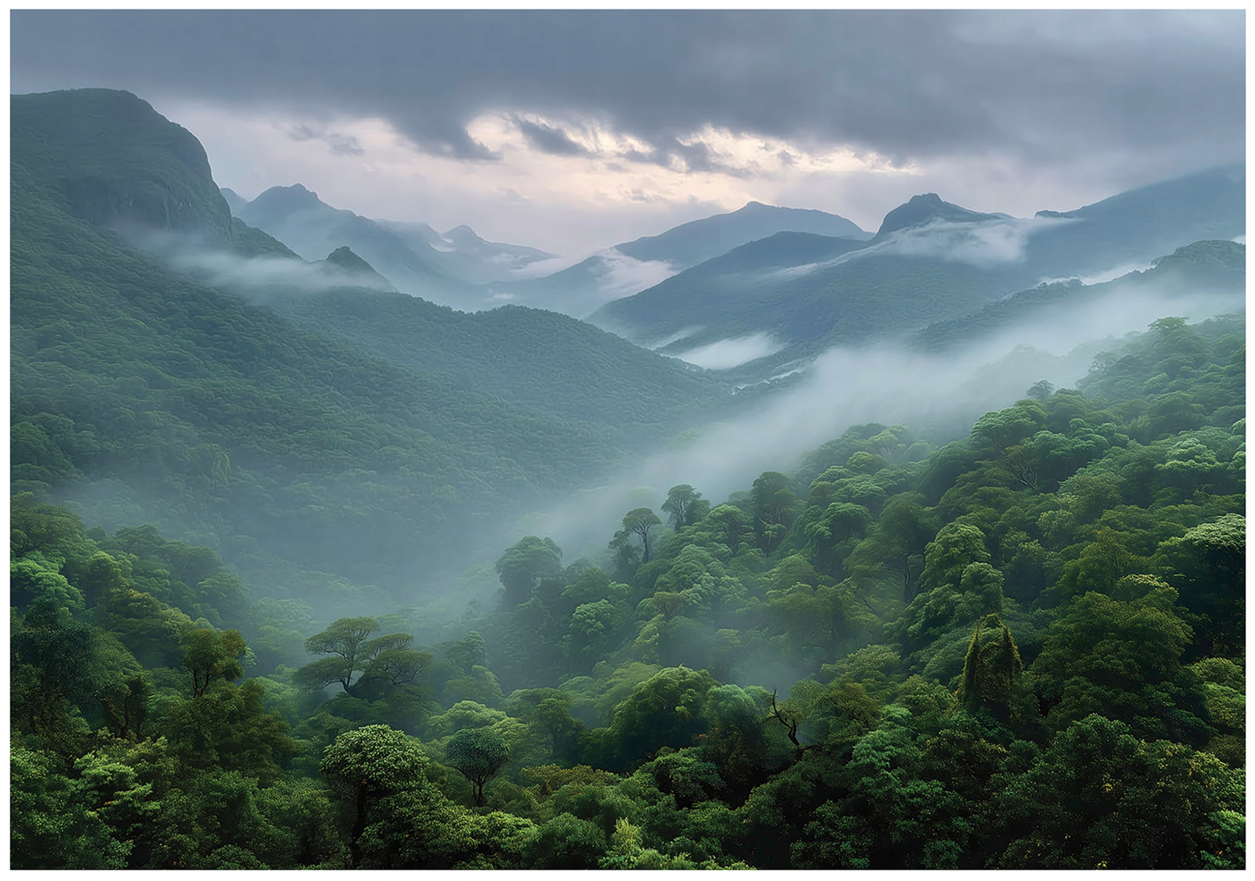 Wall mural forest mountains fog nature for bedroom living room wallpaper non-woven