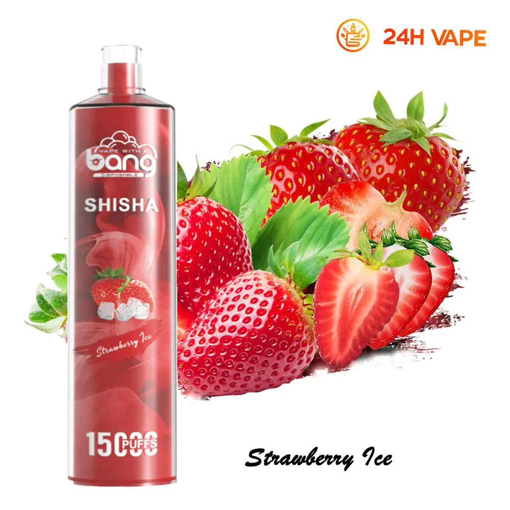 （3 pieces）Bang SHISHA 15000 Puffs Direct To Lung Disposable Electronic Cigarette New Vape Pen