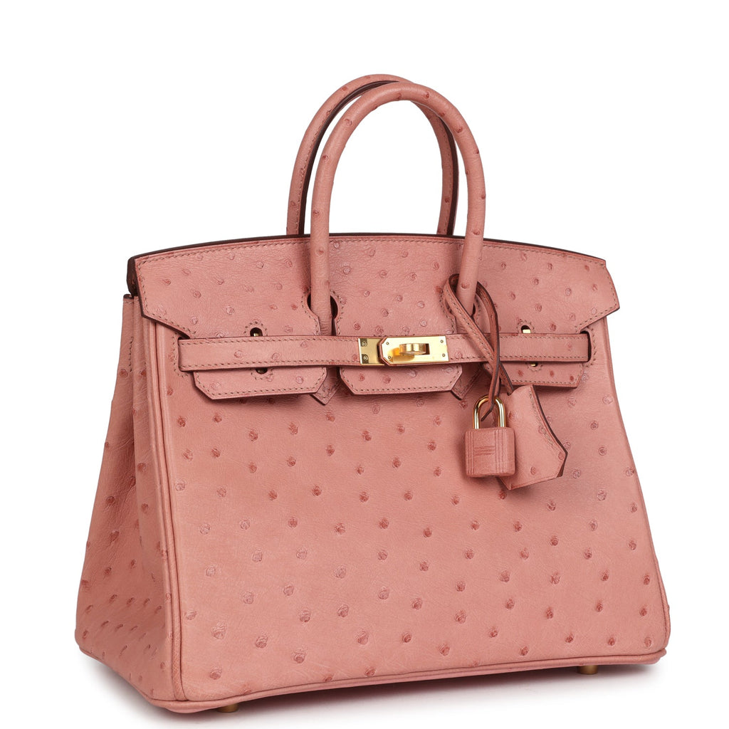 Birkin 25 Terre Cuite Ostrich Gold Hardware