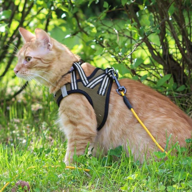 Basic Cat Sporty Kattesele Beige