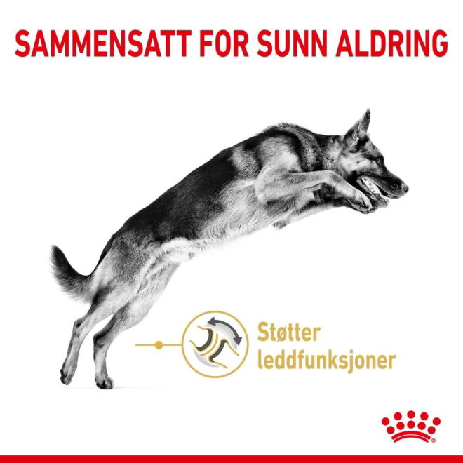 Royal Canin German Shepherd Adult 5+ tørrfôr til hund