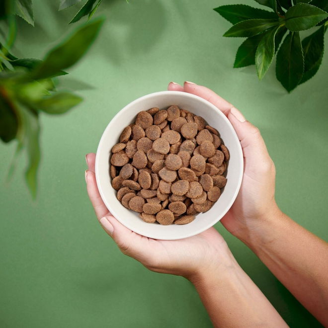 Purenatural Dog Adult Grain Free Pork