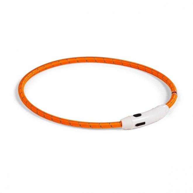 Basic Nylon LED-halsbånd
