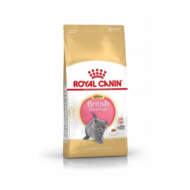 Royal Canin British Shorthair Kitten tørrfôr til kattunge