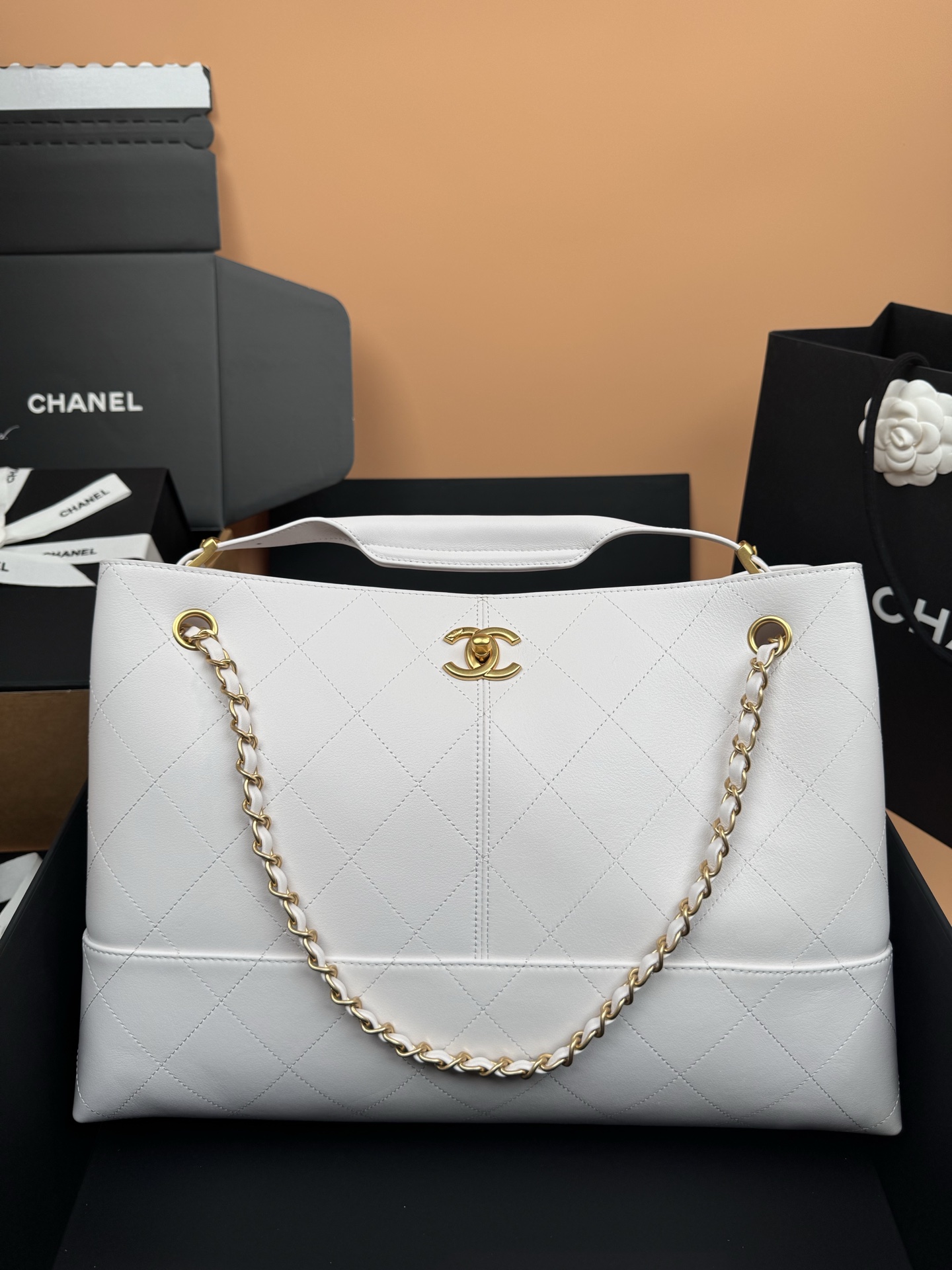 19 Large Tote Bag（horizontal style） - Mocuir