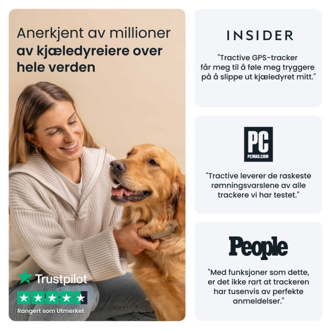 Tractive GPS & Health Tracker for Hund Brun