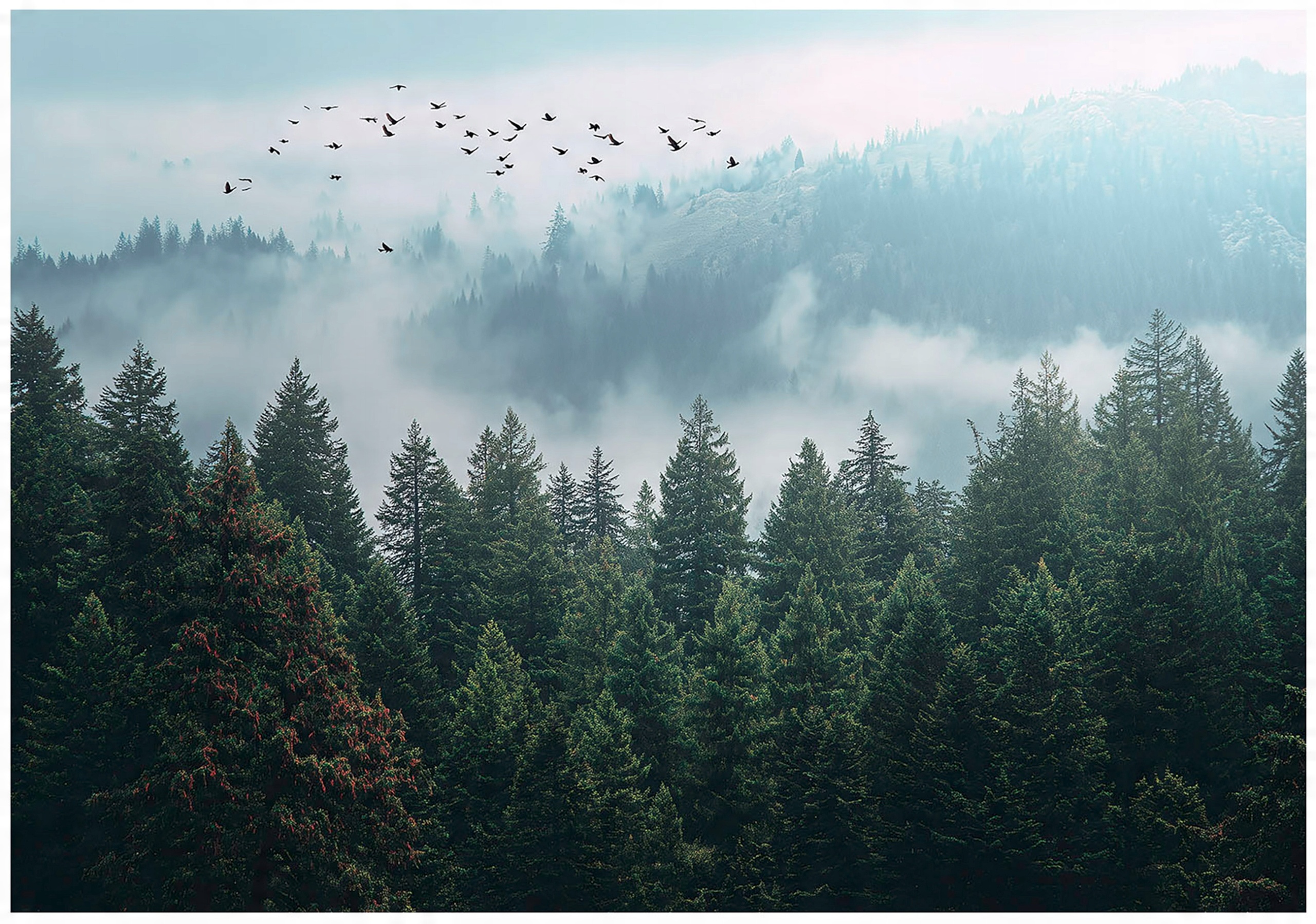 3D forest in fog wall mural trees nature for bedroom living room wall