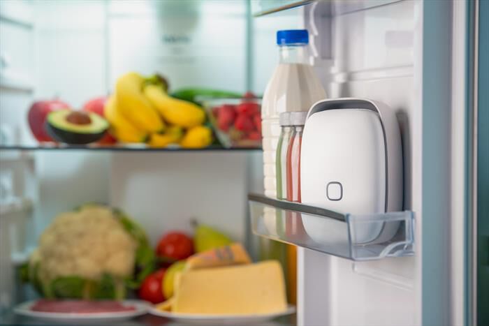 VITESY - Dispositivo smart per frigorifero SHELFY