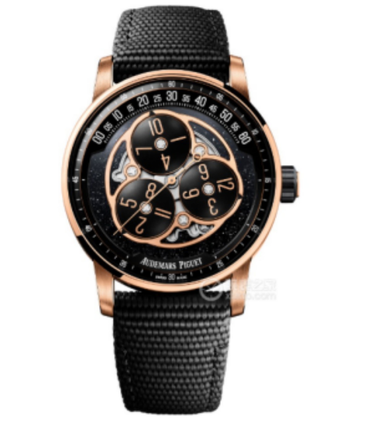 Audemars Piguet Watches