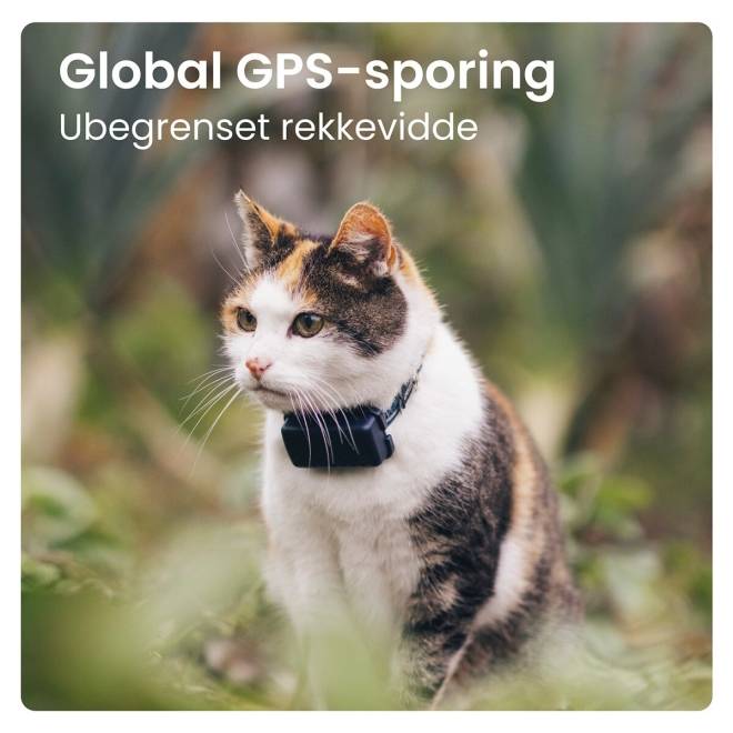 Tractive CAT Mini – GPS-tracker og helseovervåking for katt