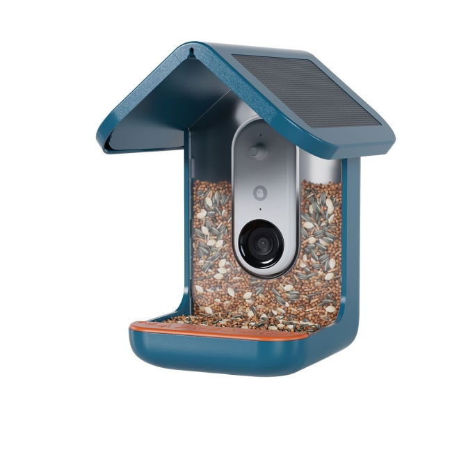 Birdbuddy Fôrautomat med Kamera Blå