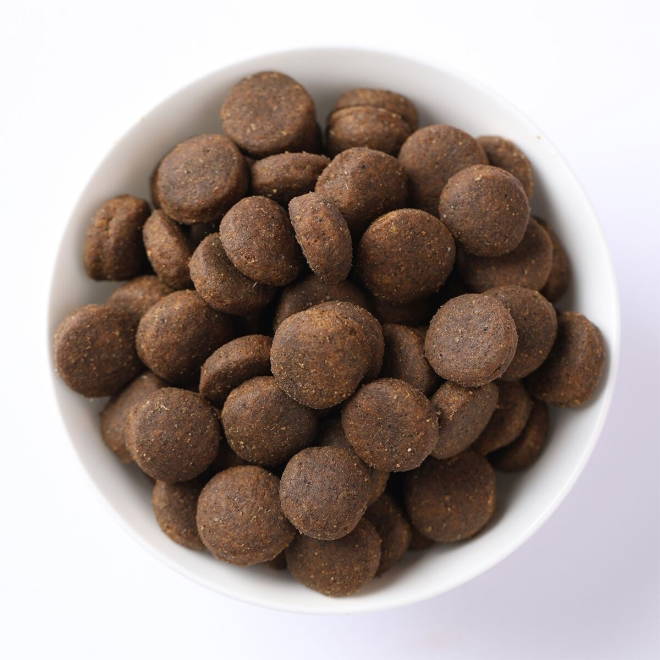 Farmina N&D Pumpkin Dog Venison & Apple M/L 12 kg