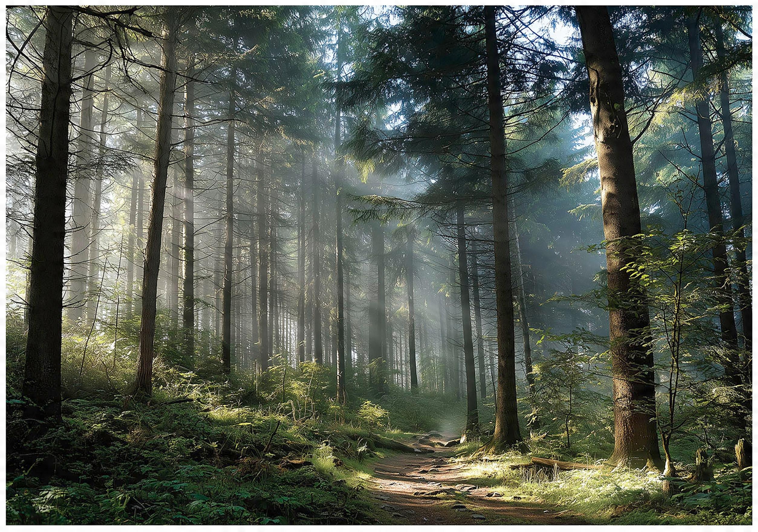 3D forest wall mural with trees and nature landscape for bedroom or living room wall,