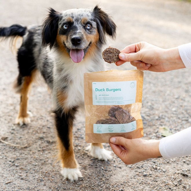 Buddy Petfoods Andeburger 100 g