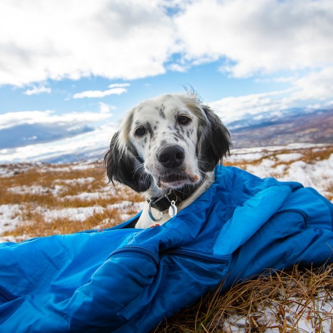 Non-stop Dogwear Ly Sovepose til hund