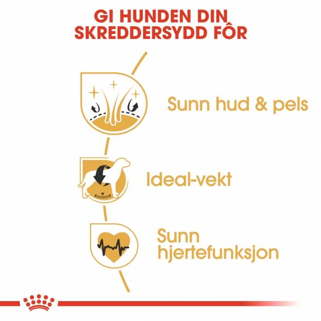 Royal Canin Cocker Adult tørrfôr til hund