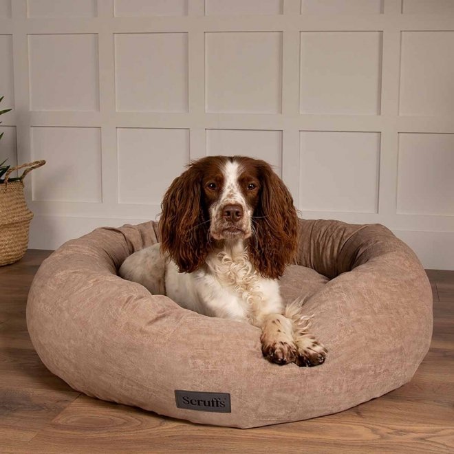 Scruffs Oslo Hundeseng, beige