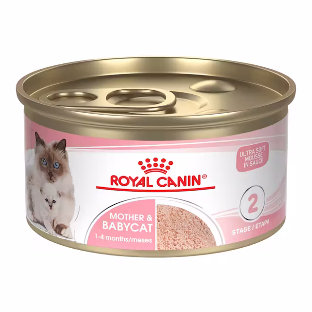 Royal Canin Mother & Babycat Mousse